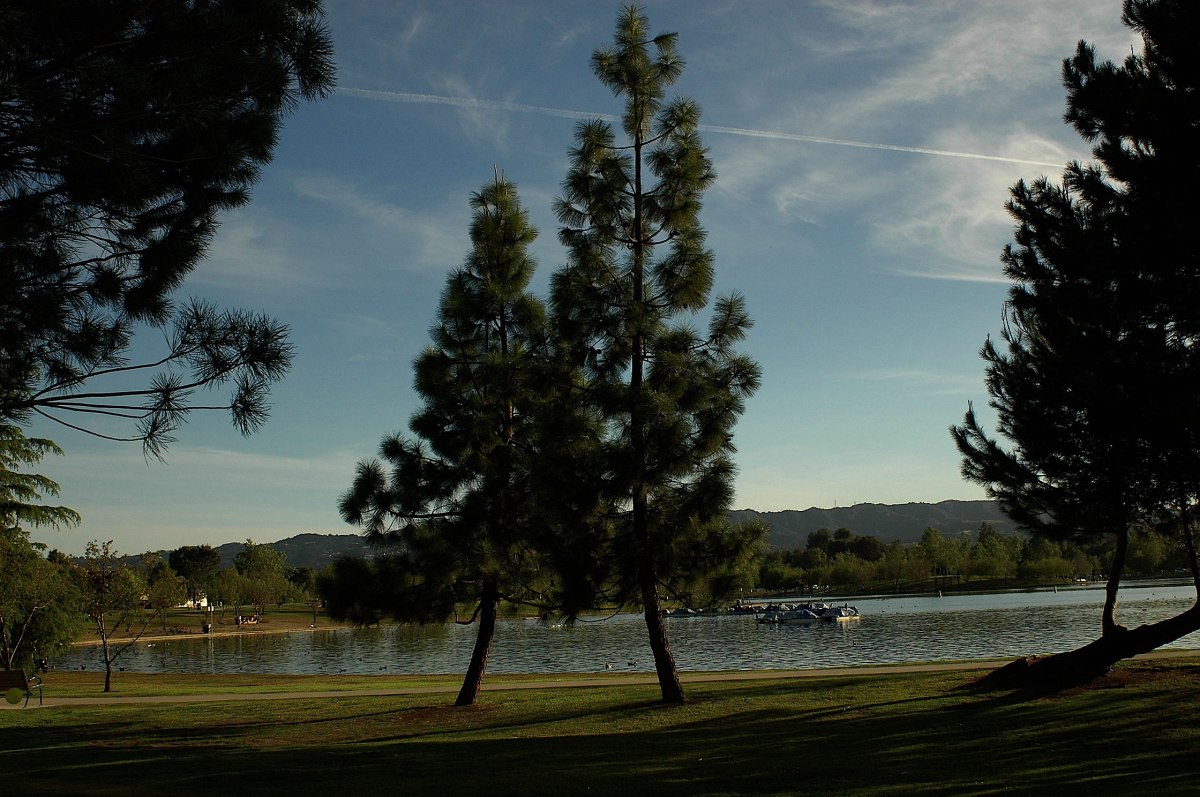 2363383216_b64dd3ca40_o