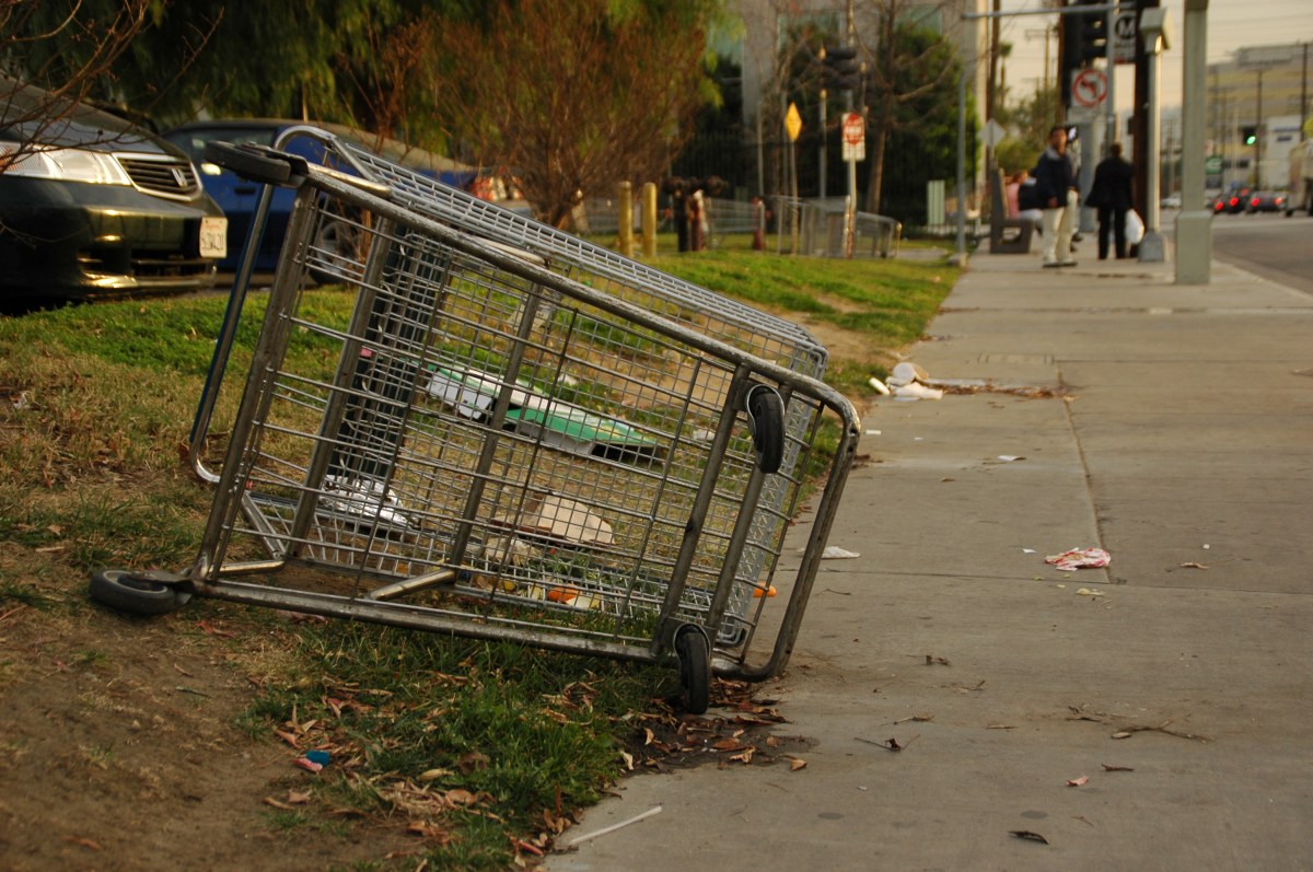 Shopping Cart on Sepulveda January 10, 2007