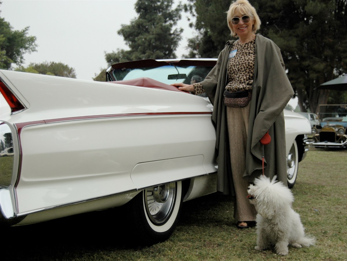 426176799_bfe290d9f8_o