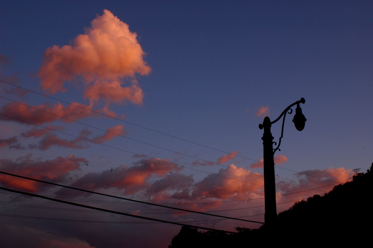 2339033685_28ed4c3510_o