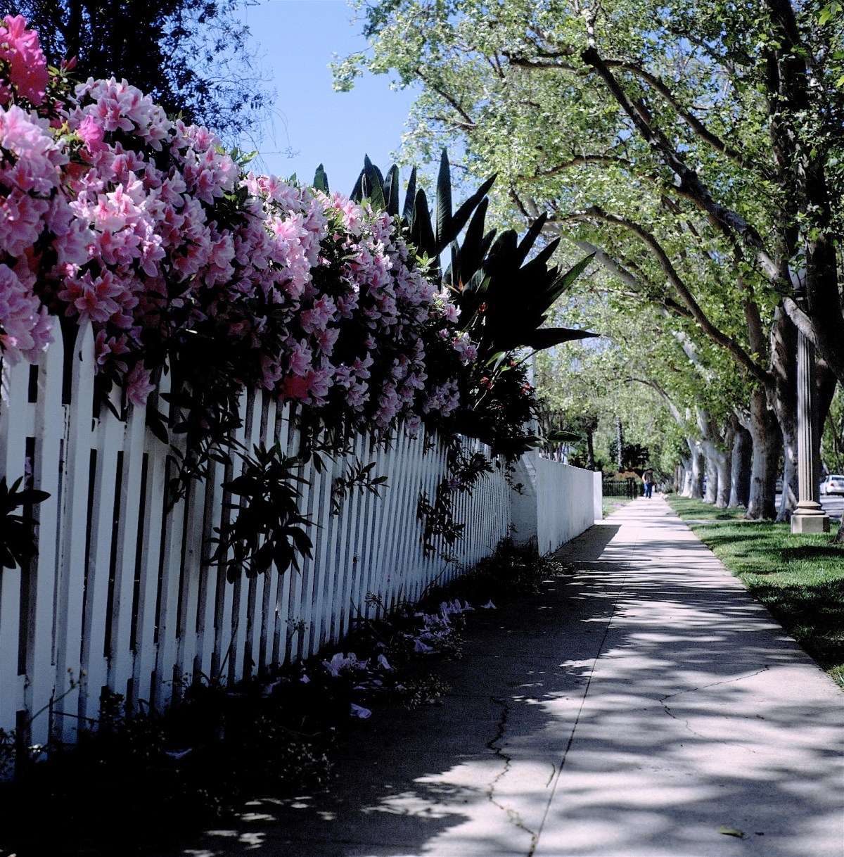 2398968443_e4666fb532_o