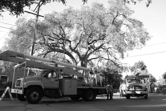 A Mighty Oak Falls-AM