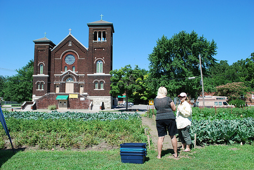 An urban farm in Kansas City, MO.