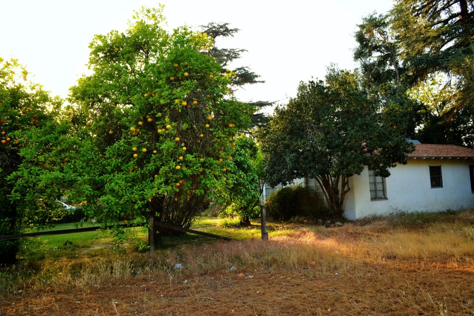 Valerio w/ of Hazeltine