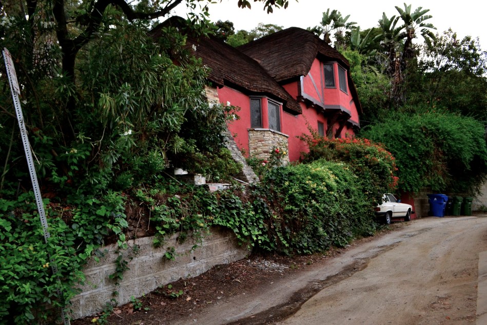 DSC_7914