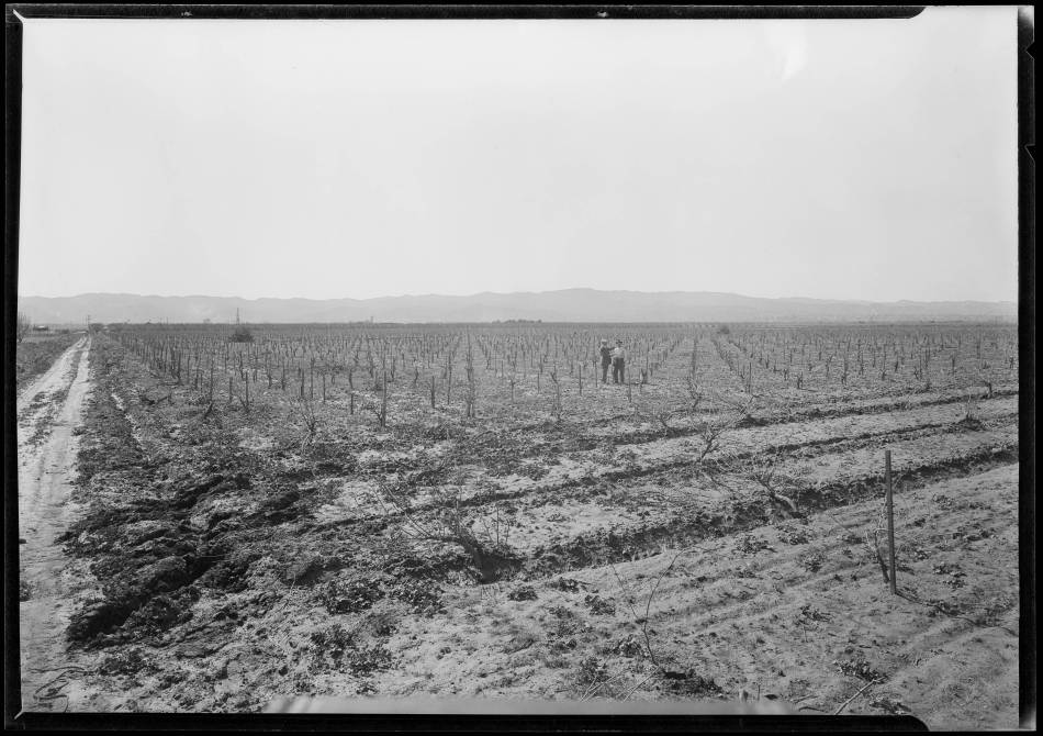 Van Nuys 1926. Dick Whittington Studios.