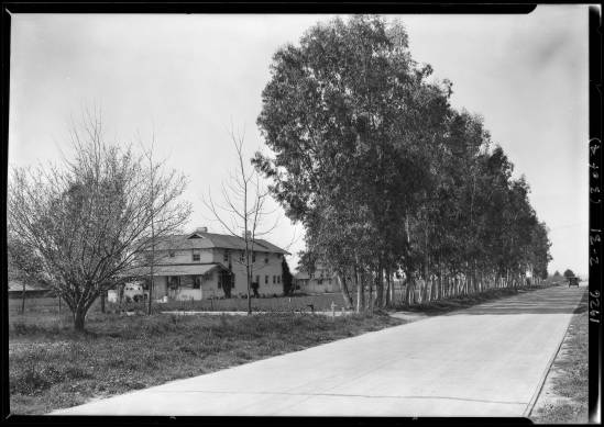 Wagner_Thoreson_scenes_at_Van_Nuys_Los_Angeles_CA_1926_image_3