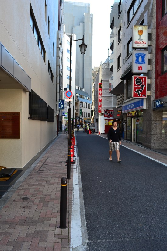 Day 4-Near Hotel Celestine  48