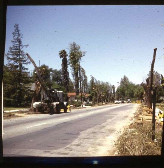 Widening of Victory Boulevard: 1954.