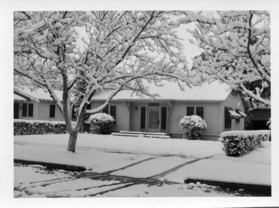 1949 snowfall.