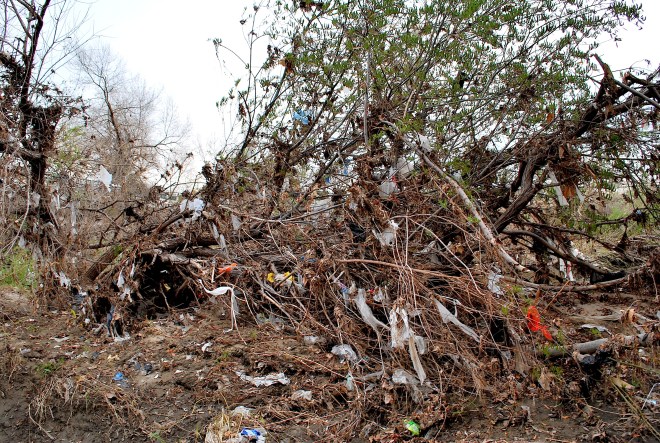 Feb 2010 LA River Near Balboa