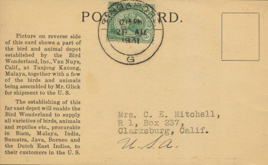 Malaya:Van Nuys Back