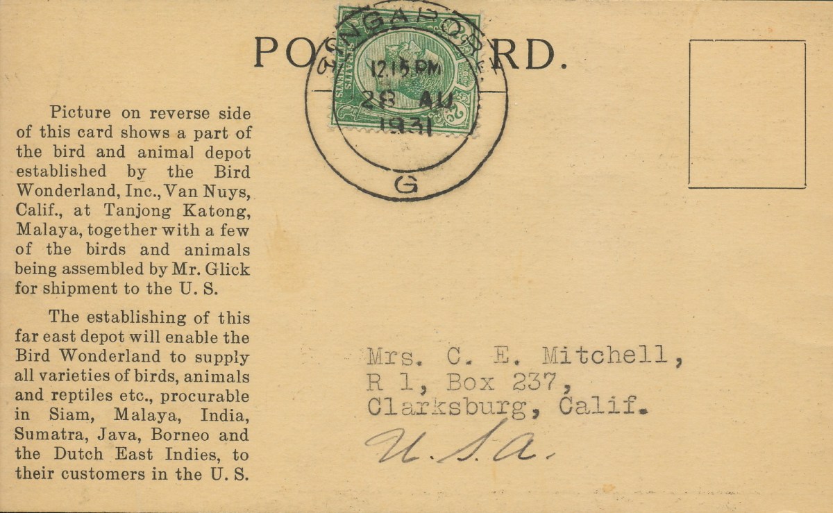 Malaya:Van Nuys Back