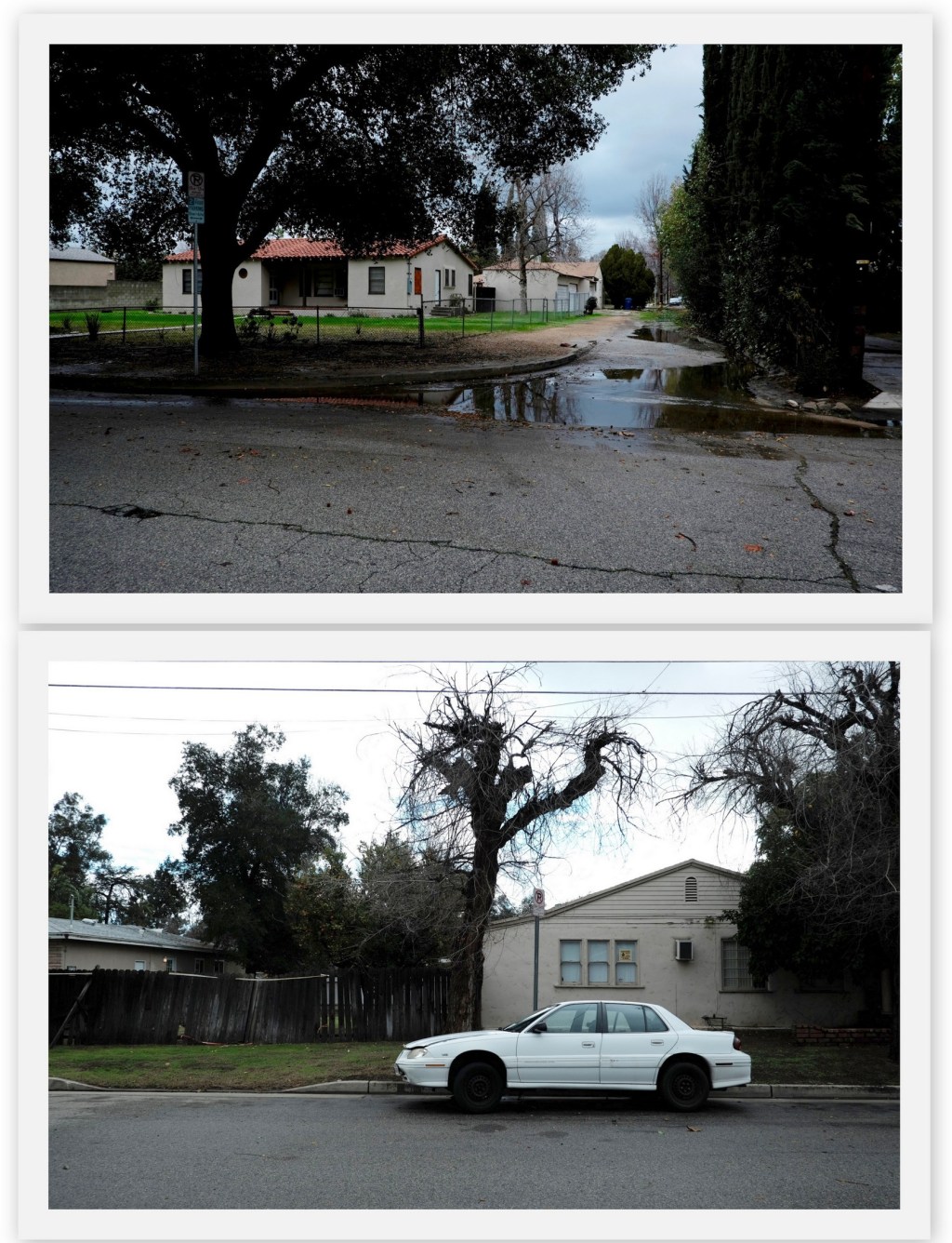 Between the Rains