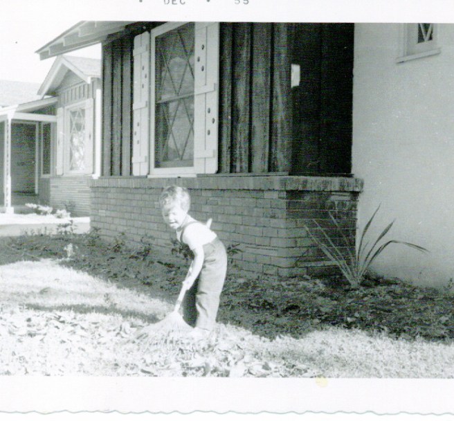 dec55sarahrakingleaves