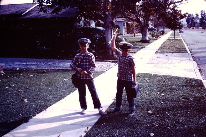 My beautiful picture