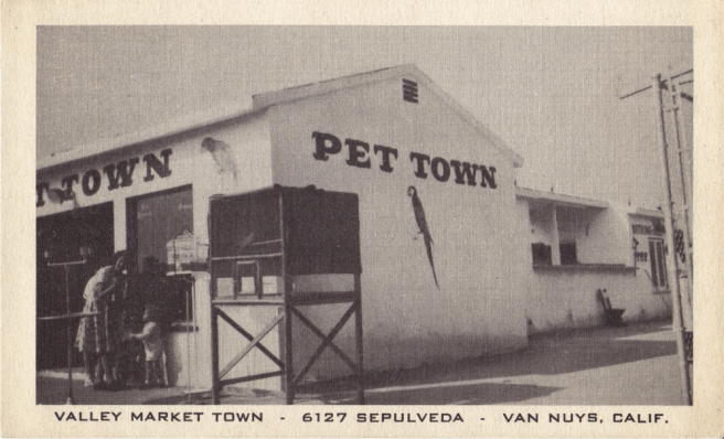 Valley Market Town (SFV Blog)