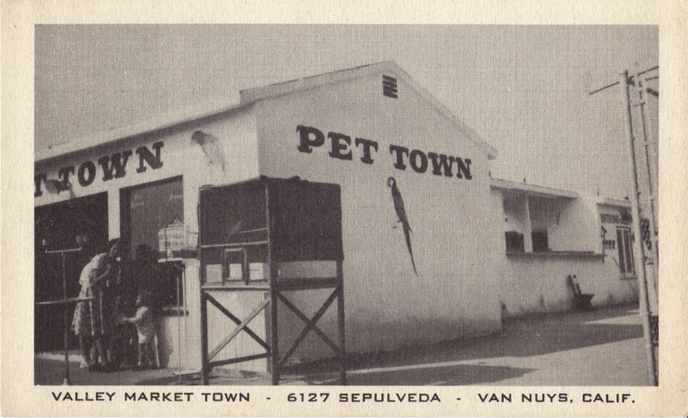 Valley Market Town (SFV Blog)