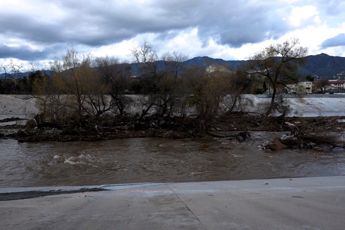 griffith-park-after-rain-2