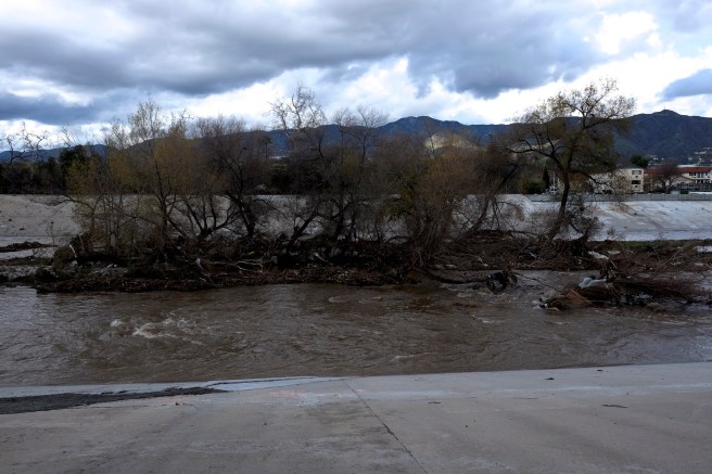 griffith-park-after-rain-2