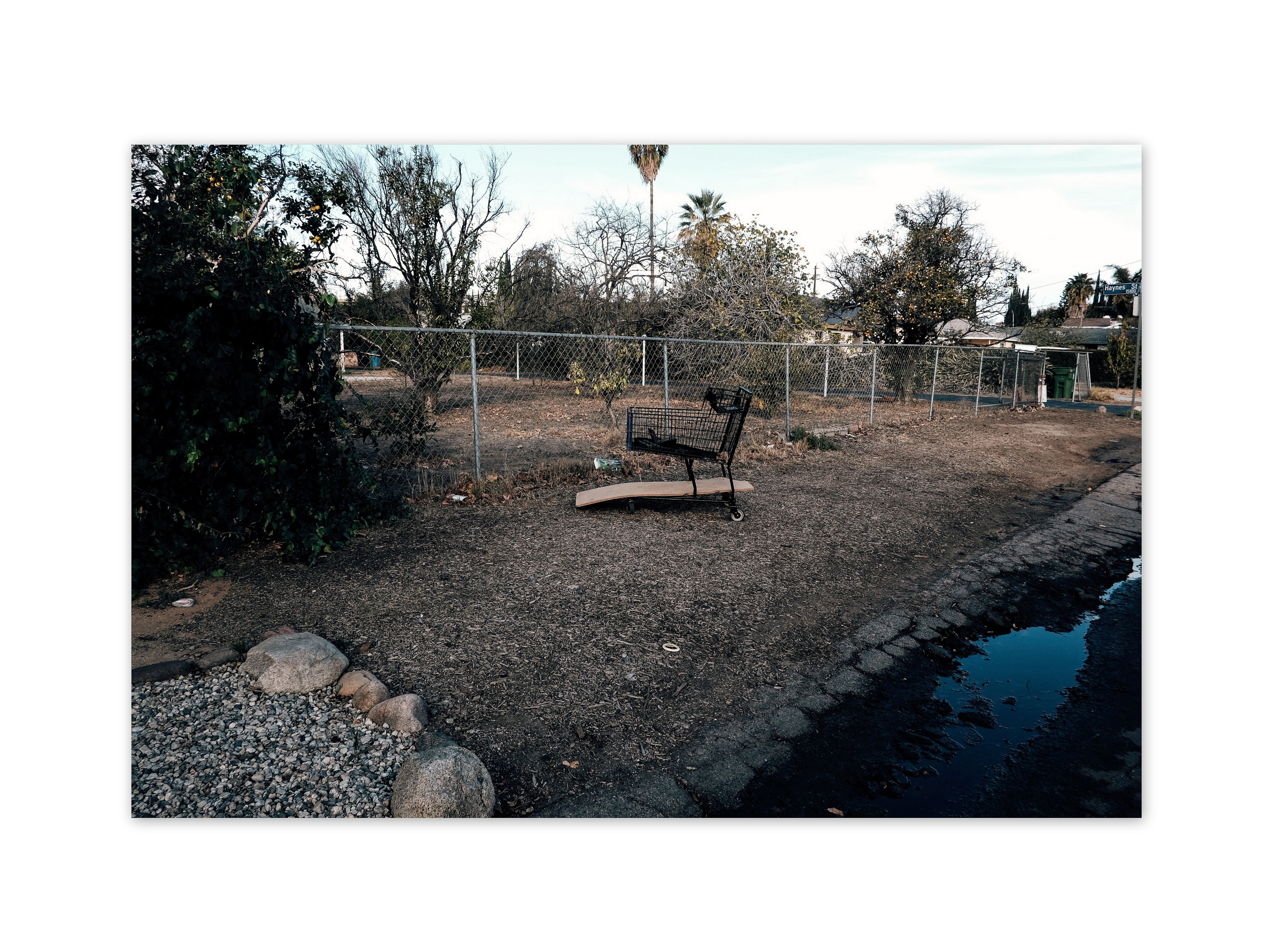 24045344372_61a0f7830d_o