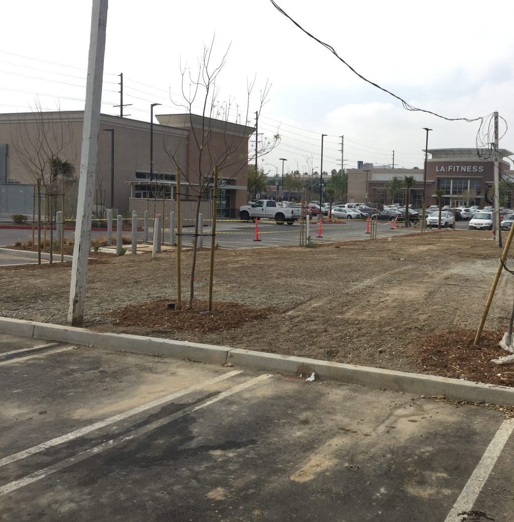 Squandered Opportunities