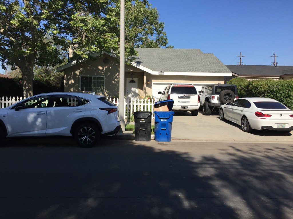 The Parking Police
