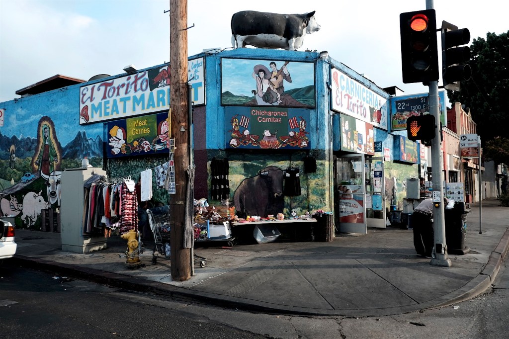 Exploring an Old Neighborhood on a Cool Summer Afternoon Near Dusk.