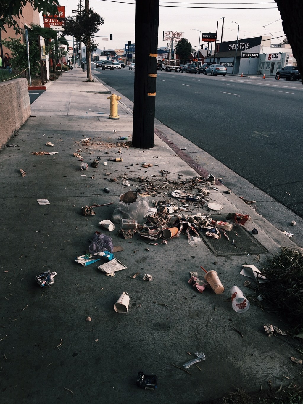 Mayor Garbageciti’s Los Angeles