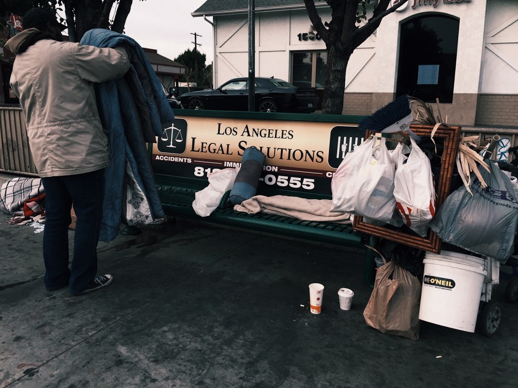 A Fish and Bear Story