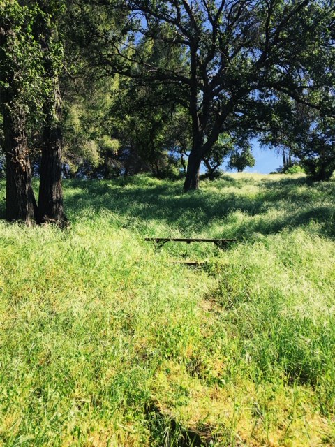 "Once on a High and Windy Hill...."