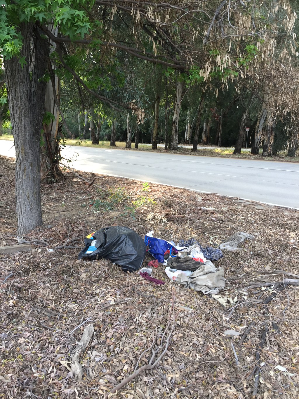 Easter Sunday: Lake Balboa and Woodley&nbsp;Park.