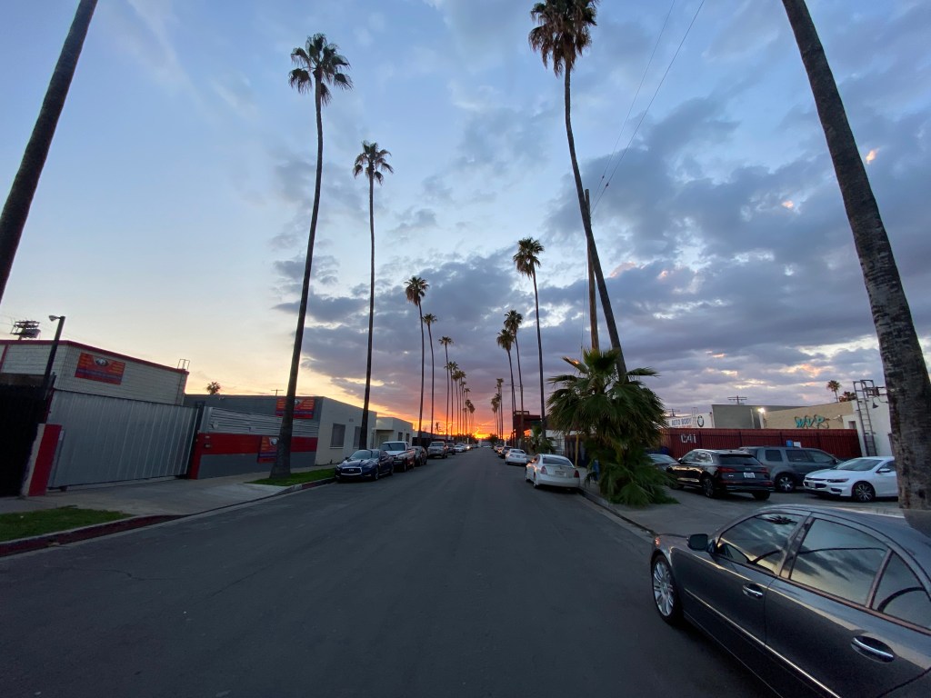 Why You Taking Picture?