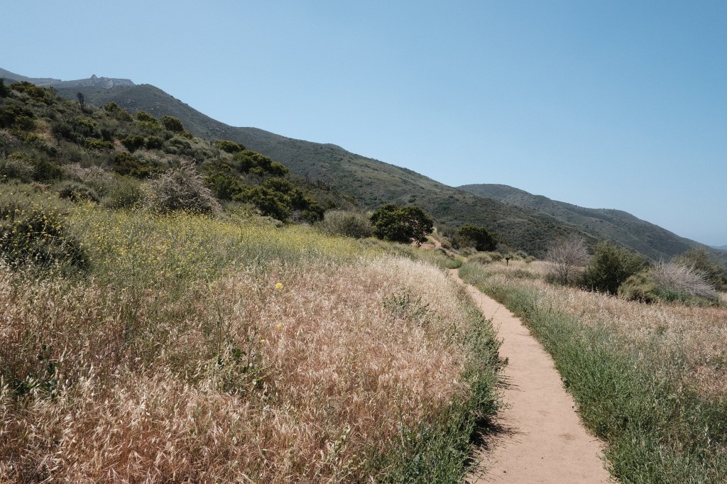 Spring is Here: Short Story